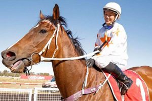 Alice Springs' 10YO marvel Roughly succumbs to tendon injury