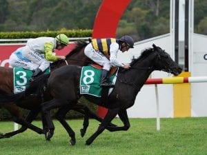 Future Score set to target free Cup entry