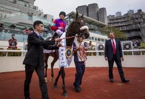 Millard eyes future with Singapore Sling ahead of Champions Mile tilt