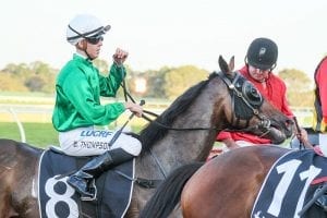 Sunday Pray to chase maiden Caulfield win