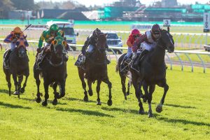 MacGregor and Times Ticking at it again at Riccarton