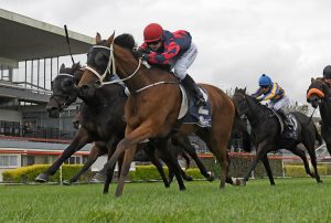 Davies off the mark with Wanganui winner