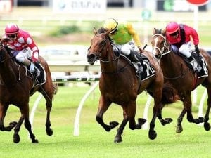 Shamurt too good for plunge horse