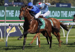 Vilana impresses on resumption in Hall Mark Stakes