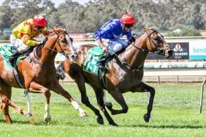 Stewards charge Egan over Mornington ride