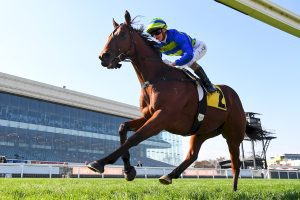 Kah masterclass helps Grandslam land the VOBIS Gold Heath