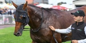 2017 Sydney Cup Boom Time & Harlem