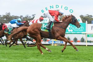 Cherry Tortoni wins Bendigo Golden Mile for Dee and Payne