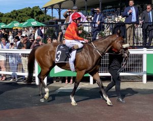 Desleigh Forster wins Weetwood Handicap with star four year old