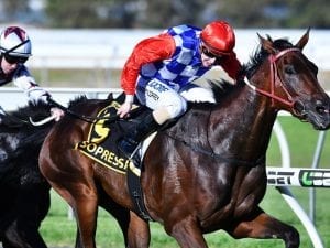 Harry Coffey wins G1 Australasian Oaks