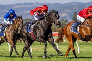 Clarken Confident in Bella Vella in the Robert Sangster Stakes