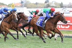 Top mare Bonneval returning to work