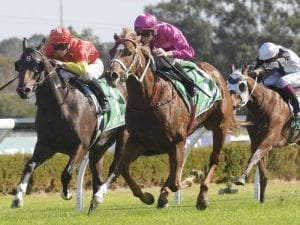 Beidi off and running in Canterbury win