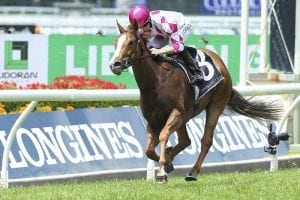 Champagne Cuddles breaks record in Guineas