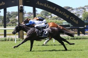 Dark Destroyer primed for Ipswich Cup tilt