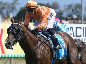 Blake Shinn reunites with Toby Edmonds