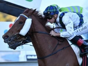 Bigger track key for Magic Alibi in Gr 3