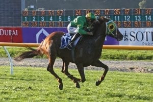 Stakes reward for smart mare Genuine mare