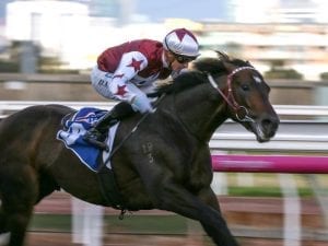 Land Of Plenty back on board at Flemington