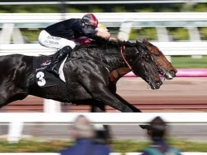 Galaxy Raider set for Flemington return