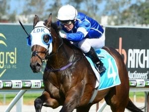 Jeff Lloyd closes in on century of winners