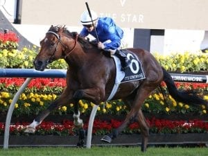 Godolphin chase Gold Coast feature treble