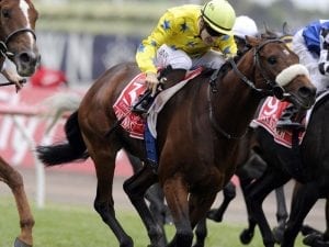 Melbourne Cup winner Dunaden dies