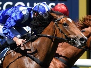 Qafila set to back up in G1 SA Derby