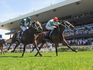 Berry guides Abdon to Wagga Gold Cup win