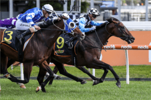 2021 Dark Jewel Classic betting tips & best odds | Scone R6