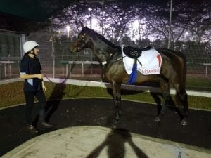 Hennessy seeking more international glory