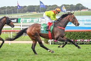 Outlaws Revenge smashes rivals in Listed Wangoom Handicap