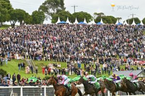 Punt Drunk: The 'Bool is that seriously bloody good!