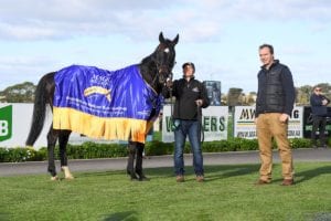 Local 100/1 bolter Patch Adams destroys The "Bool punters late on Day 1