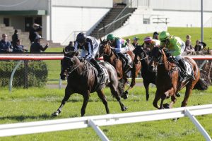 Valuable Rotorua Cup win for Poser