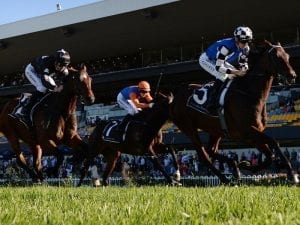 Our Century bound for Brisbane Cup