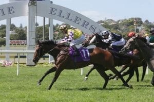 Thursday NZ news briefs - Weight worries with stablemates