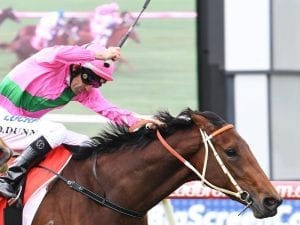 Riviera Sandown win all for Hawkes family