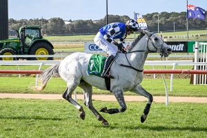 Saunter Boy goes back-to-back in the Galleywood Hurdle