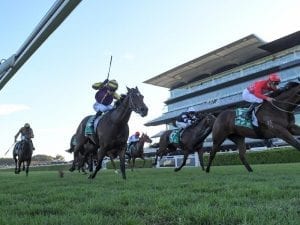 Scone Cup Day betting tips, top odds & quaddie | Friday, May 14