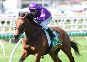 Munce provides updates on Brisbane Winter Carnival runners