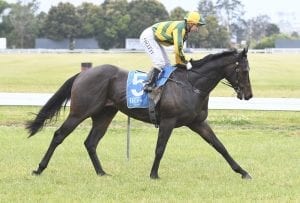 Doomben ideal for Time Lord