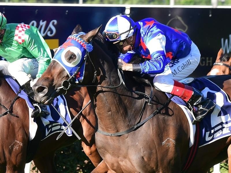 Toowoomba hosta many great horse races