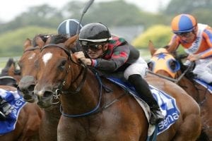 Top mare enjoys smooth Doomben preparation