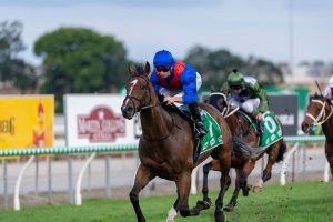 Zaaki opens hot favourite in quest for Hollindale Stakes defence