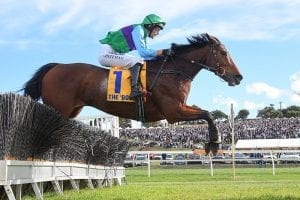 Zed Em winning the Grand Annual at Warrnambool