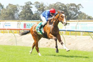 The Nephew wins at Benalla