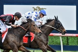 Oregon's Day faces Doomben Cup challenge