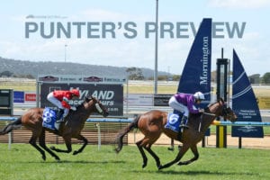 Mornington betting tips, value bets & quaddie picks | 11/5/2021