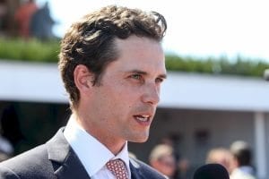 Matt Cumani